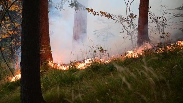 In Hirschwang in der Marktgemeinde Reichenau a.d. Rax (Bezirk Neunkirchen) ist am 26. Oktober 2021 ein Wald in Brand geraten. Im Bild: Das brennende Waldgebiet in Niederösterreich.