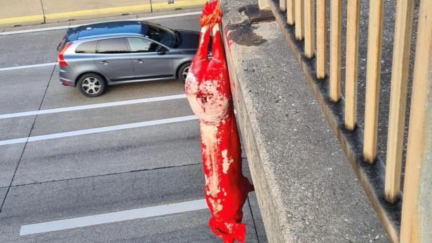 Vor dem Grazer Derby: Sturm-Fans hängen ein rotes Schwein auf