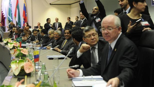 Eine internationale Konferenz mit Delegierten und Länderflaggen an den Tischen.