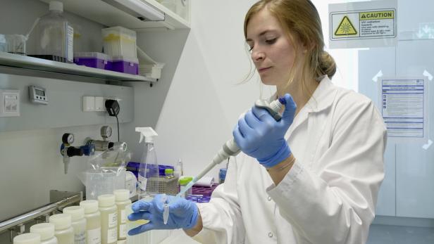 Jede Wiener Probe, in der nach dem Virus gesucht wird, geht durch die Hände von Forscherin Gabi Eder.