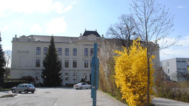 Gymnasium Oberschützen: Höchstgericht am Zug