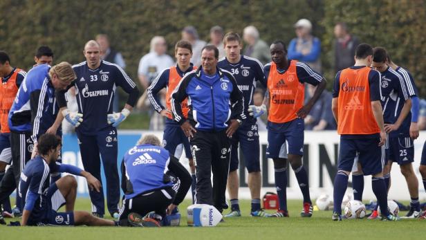 Stevens neuer Schalke-Trainer