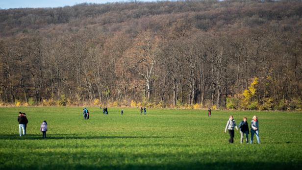 Liegenschaft grenzt im Westen an den Lainzer Tiergarten