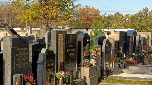 Friedhofs-Mitarbeiter mit 3 Promille gekündigt: Chef mit Tod bedroht
