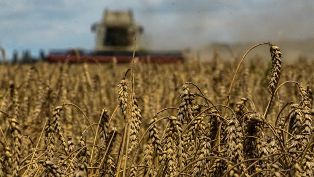 FILE PHOTO: Wheat harvesting in Kyiv region amid Russia's attack on Ukraine