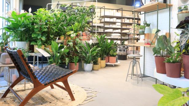 Neue Boutique für Pflanzen und schöne Dinge in Wien