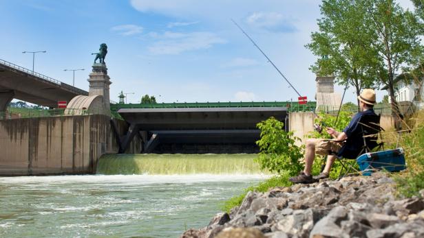 Ein Mann angelt an einem Flusswehr mit einer Löwenstatue im Hintergrund.
