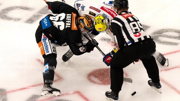 Zwischenbilanz in der Eishockey-Liga: Von Höhenflügen und Abstürzen