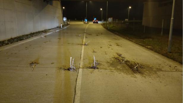 Täter warfen Maispflanzen und Erde auf Fahrbahn