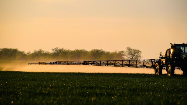 Jets of liquid fertilizer from the tractor sprayer.