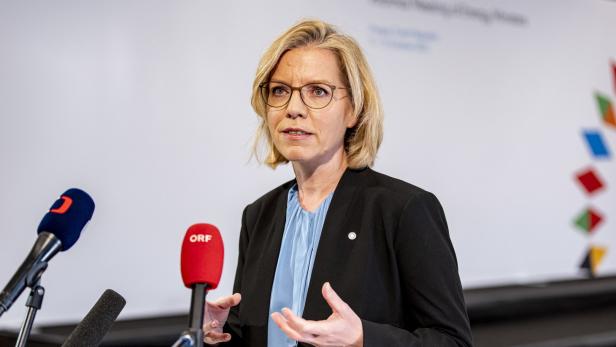 Energieministerin Leonore Gewessler