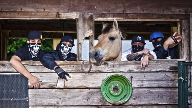 Die Vamummtn - "Rap is (k)a Ponyhof"