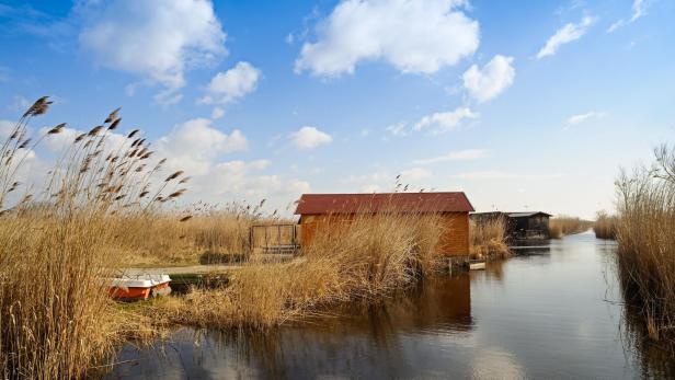 Wandern in der Region Neusiedler See