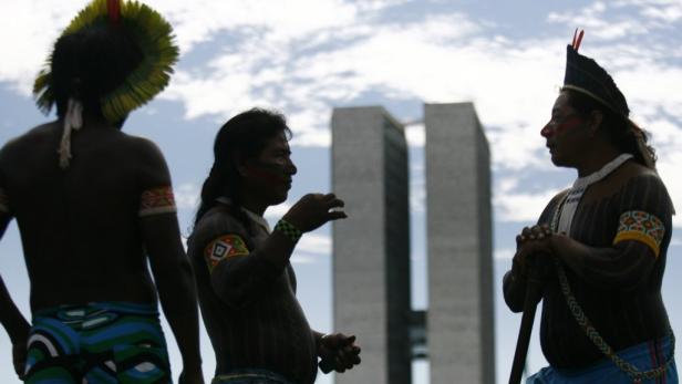 Zierfische stoppen Mega-Staudamm