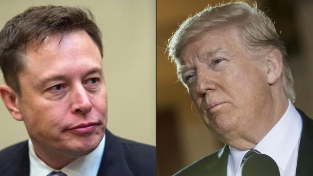 Laut Bloomberg: Elon Musk soll Geld an Trump-Unterstützergruppe gespendet haben