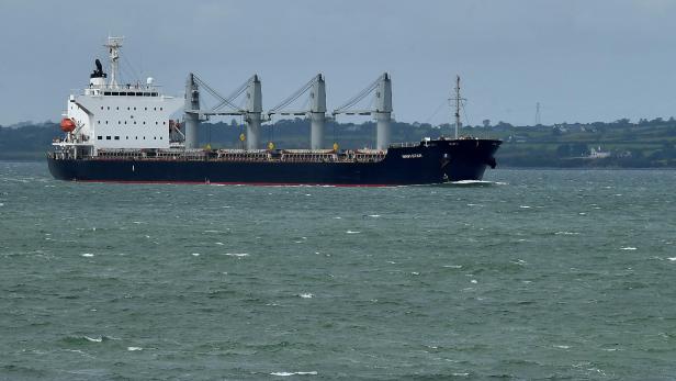 FILE PHOTO: Ukrainian grain ship arrives in Ireland