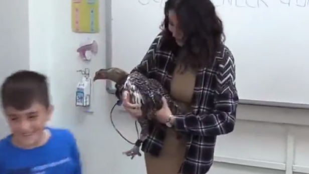 Volkschulkind schenkte seiner Lehrerin lebendes Huhn