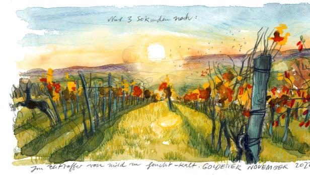 Goldener November: In Zweitraffer von mild zu feucht-kalt