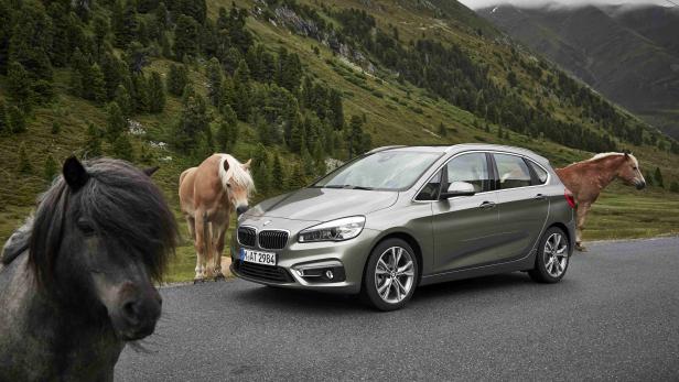 Ein grauer BMW steht auf einer Straße in den Bergen, umgeben von Pferden.