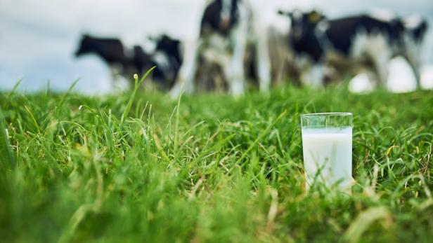 Hafermilch-Werbevideo bringt Tiroler Bauern auf die Barrikaden