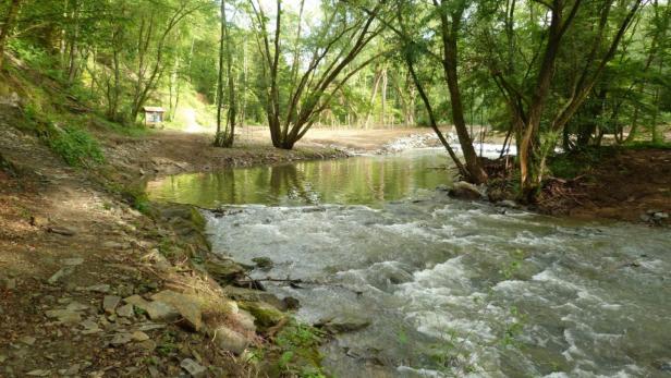 Bewirtschaftung der Pinka: Dieser Fluss kennt keine Grenze
