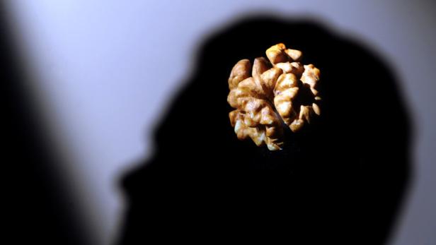 Von Anfang an Lust auf Wissen