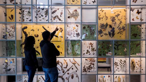 UNAM opens its Biodiversity Pavilion with the support of the Slim Foundation