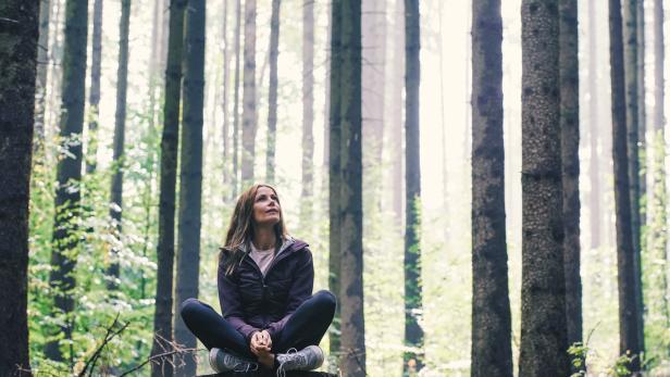 Meditation unter Bäumen: Bei geführten Touren im angrenzenden Wald können Gäste tief durchatmen und ihre innere Ruhe finden.