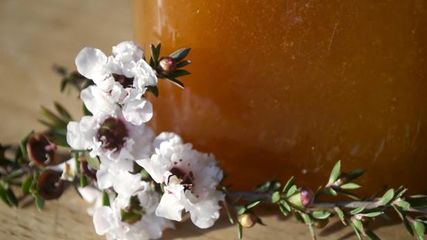 Hilfe bei Erkältung: Der magische Manuka-Faktor