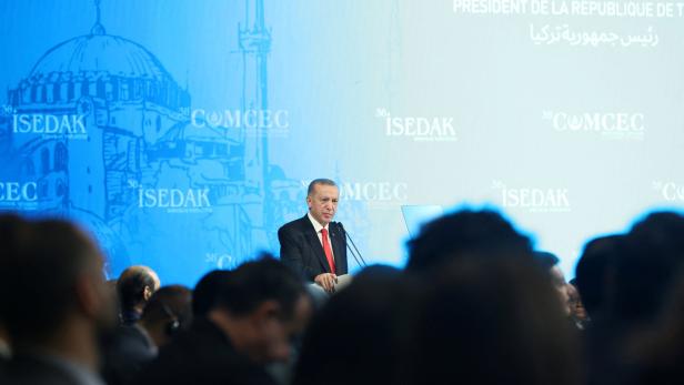 Erdogan spricht mit Putin und Selenskyj über Getreidekorridor