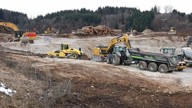 18 Hektar Waldfläche in Ohlsdorf gerodet, Rechnungshof prüft Deal mit Bundesforsten