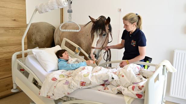 Penzinger Kinderhospiz braucht Spenden für barrierefreien Pferdestall