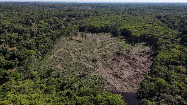 FILE PHOTO: An aerial view shows a deforested plot of the Amazon rainforest in Manaus