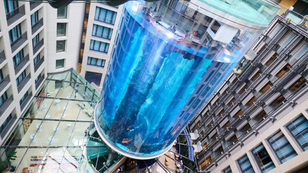 16 Meter hohes Aquarium in Berliner Hotel geplatzt