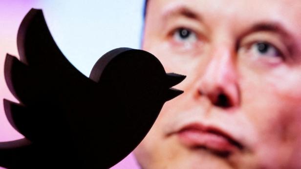 Elon Musks Twitter-Herrschaft: Die Freiheit, die er meint