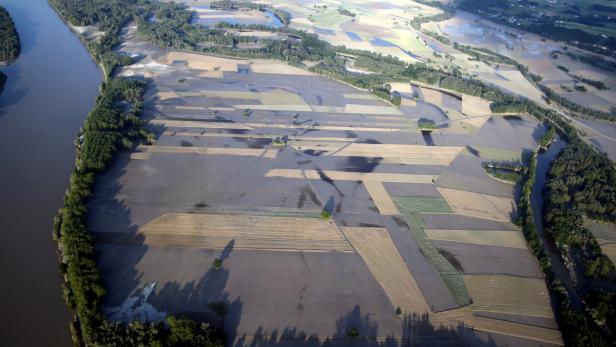 Honotrarfrei , Ardagger Schlamm im Machland-Süd