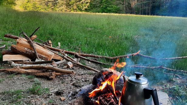 Last-Minute-Geschenke: Überleben im Wald & ein Lied für dich