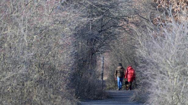 Ein Jahreswechsel mit milden Temperaturen: Bis zu 18 Grad erwartet