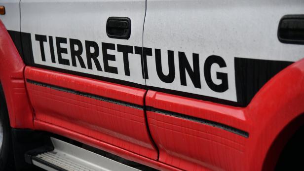 Die Aufschrift „Tierrettung“ auf einem rot-weißen Fahrzeug.