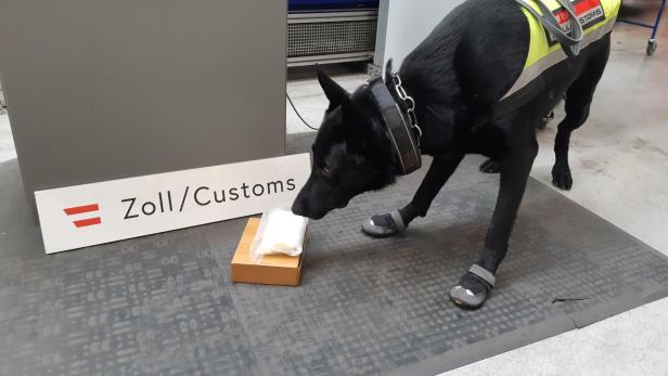 Spezialisierten Bargeldhunde des ZAÖ beim erschnüffeln von Falschgeld.