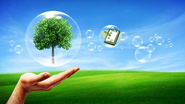 Das Verfahren von GREEN BRANDS