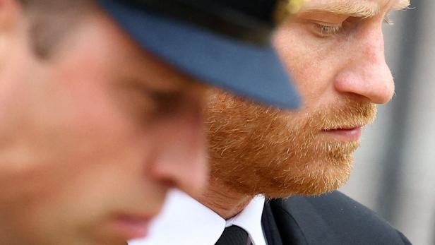 Prinz William und Prinz Harry stehen nebeneinander und blicken zu Boden.