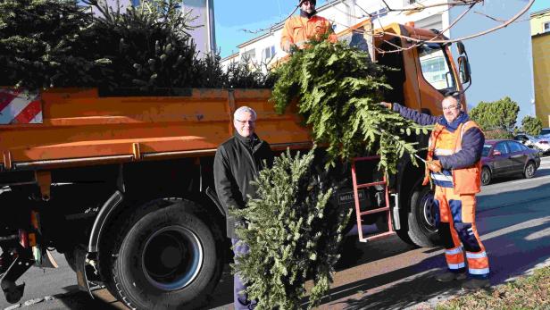 Eisenstadt: Christbäume werden bald abgeholt