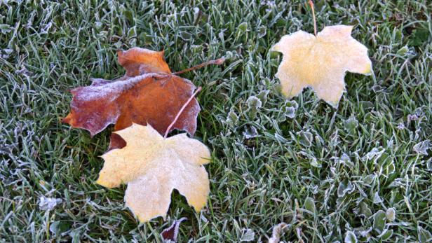 Vorbei ist's mit dem heißen Herbst