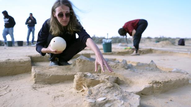 Fragments of 4,000-year-old ostrich eggs found in Nitzana sands Warum steinalte Straußeneier die Wissenschaft interessieren