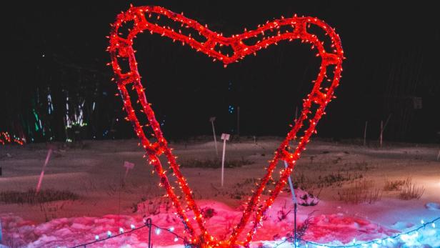 Nachhaltige Geschenke für den Valentinstag: Ideen, die das Herz erfreuen