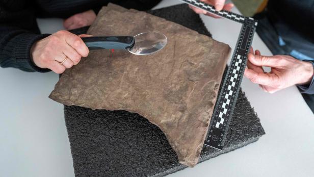 Norwegische Archäologen entdecken ältesten Runenstein der Welt