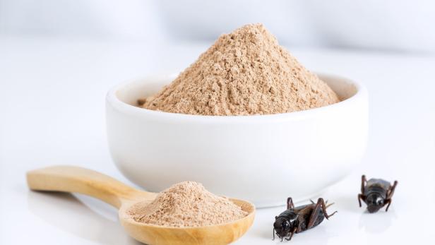Insektenpulver als Lebensmittelzutat: Mehl aus Hausgrillen zugelassen