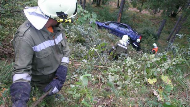 Auto schoss über Abhang: Baum bremste den Absturz