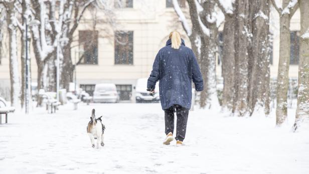 Sogar in Wien konnte man am Samstag über Schnee spazieren